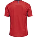 NHF 20 MENS HOME KIDS JERSEY SS