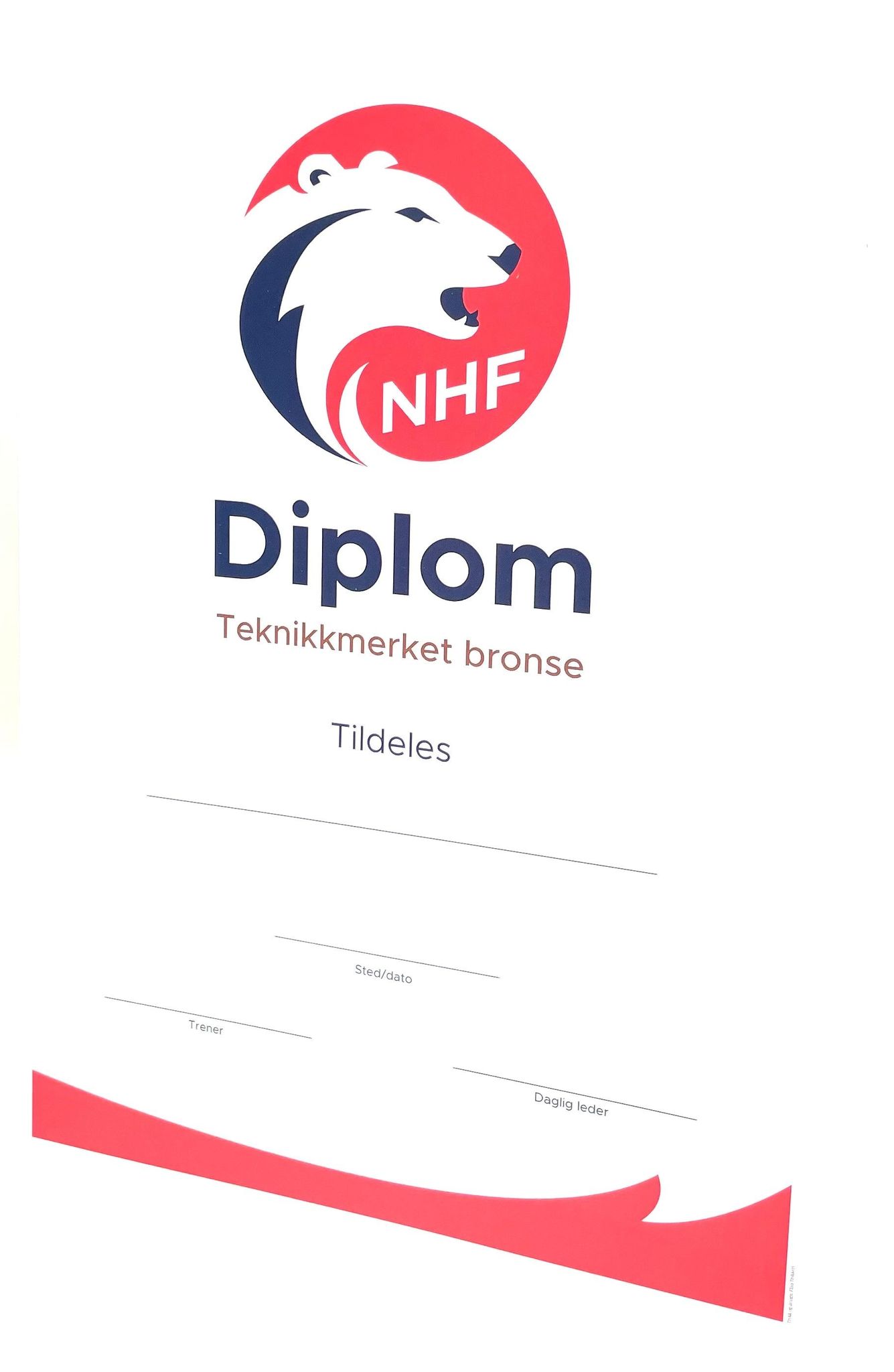 DIPLOM TEKNIKKMERKER BRONSE