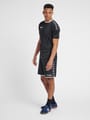 hmlAUTHENTIC POLY SHORTS