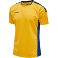 hmlAUTHENTIC POLY JERSEY S/S