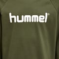 HMLGO KIDS COTTON LOGO HOODIE