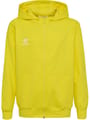 hmlGO 2.0 ZIP HOODIE KIDS