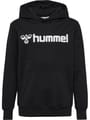 hmlGO 2.0 LOGO HOODIE KIDS