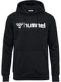 hmlGO 2.0 LOGO HOODIE