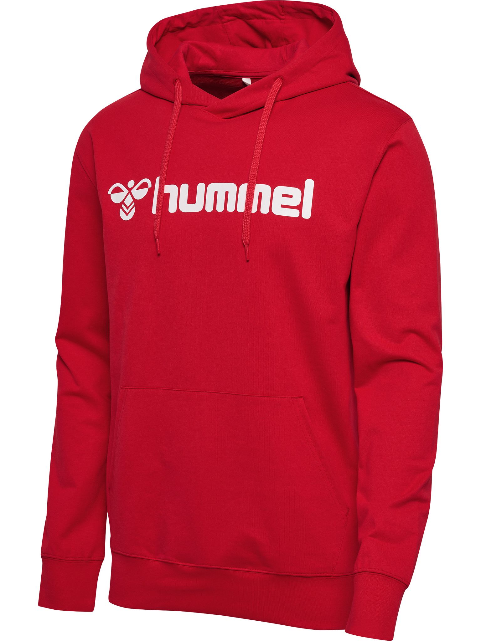 hmlGO 2.0 LOGO HOODIE