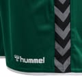 hmlAUTHENTIC POLY SHORTS WOMAN