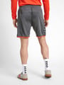 hmlAUTHENTIC POLY SHORTS