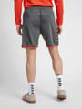 hmlAUTHENTIC POLY SHORTS
