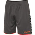 hmlAUTHENTIC POLY SHORTS