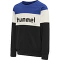 hmlCLAES SWEATSHIRT