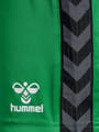 hmlAUTHENTIC PL SHORTS WOMAN