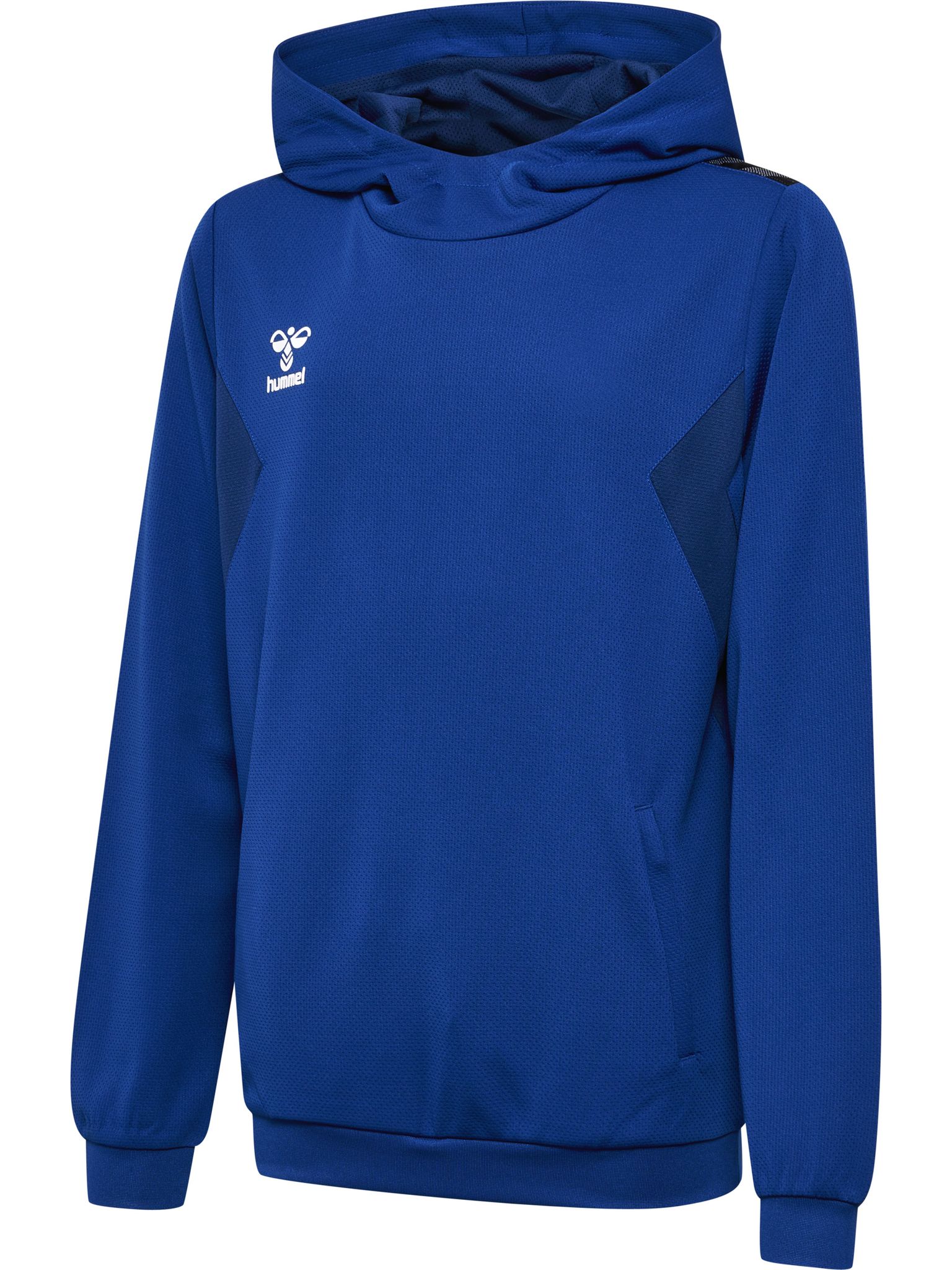 hmlAUTHENTIC PL HOODIE KIDS