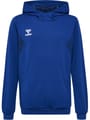 hmlAUTHENTIC PL HOODIE KIDS
