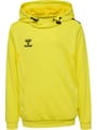 hmlAUTHENTIC PL HOODIE KIDS