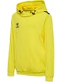 hmlAUTHENTIC PL HOODIE KIDS