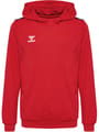 hmlAUTHENTIC PL HOODIE KIDS