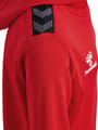 hmlAUTHENTIC PL HOODIE KIDS