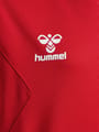 hmlAUTHENTIC PL HOODIE KIDS
