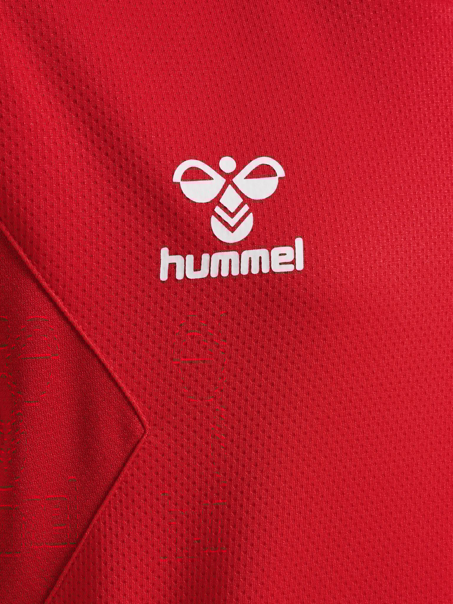 hmlAUTHENTIC PL HOODIE KIDS