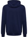 hmlAUTHENTIC PL HOODIE