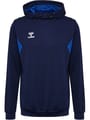 hmlAUTHENTIC PL HOODIE