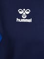 hmlAUTHENTIC PL HOODIE