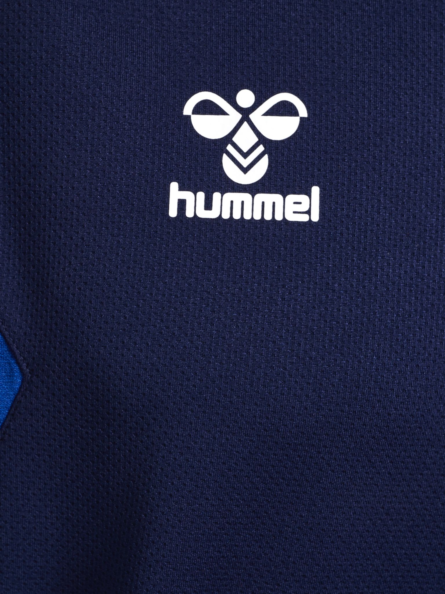 hmlAUTHENTIC PL HOODIE
