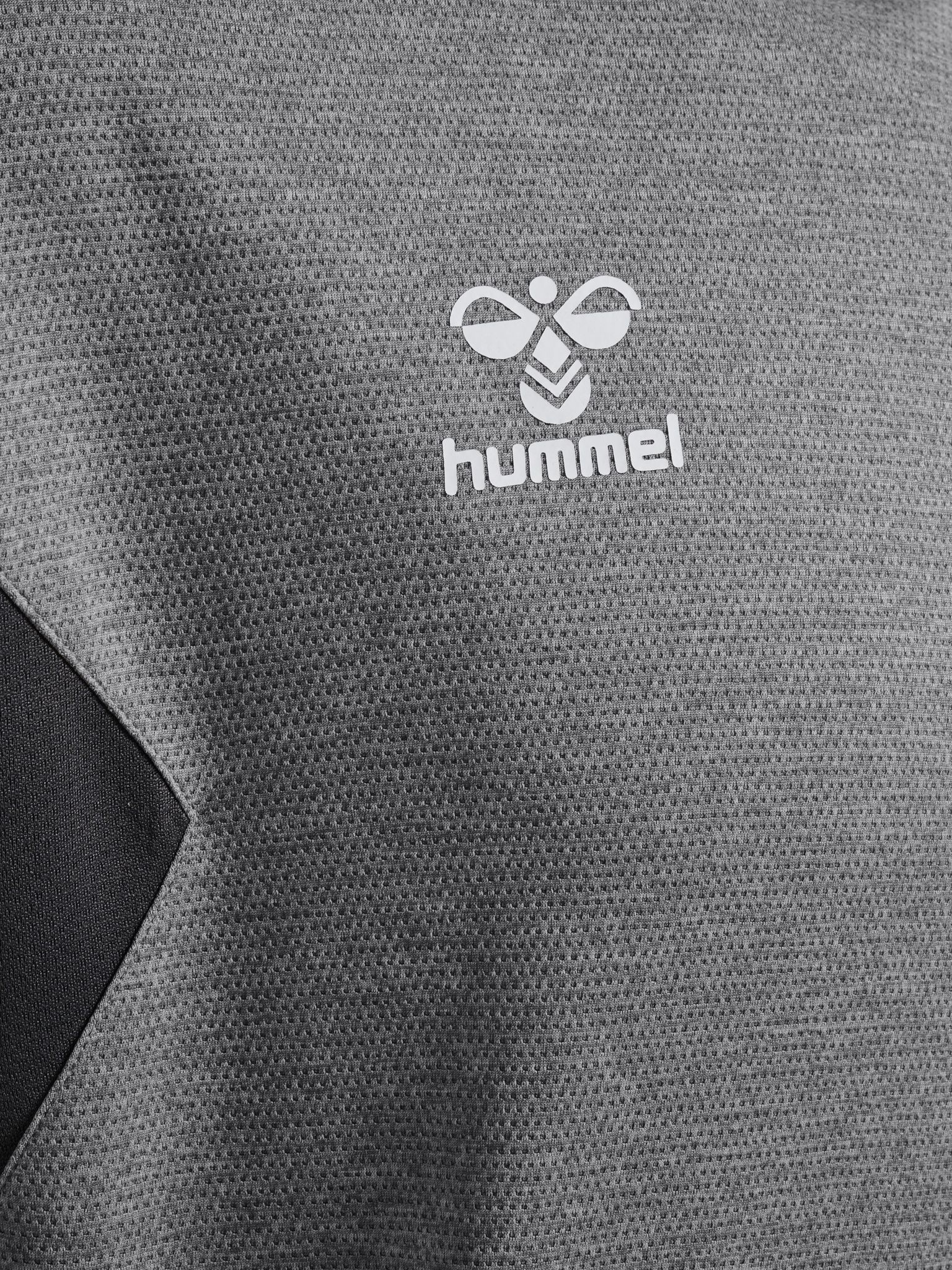 hmlAUTHENTIC PL HOODIE