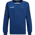 hmlAUTHENTIC KIDS TRAINING SWEAT