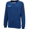 hmlAUTHENTIC KIDS TRAINING SWEAT