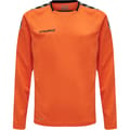 hmlAUTHENTIC KIDS POLY JERSEY L/S