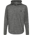 hmlASTON HOODIE