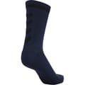 ELITE INDOOR SOCK LOW PA
