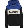 hmlMORTEN HOODIE