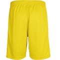 CORE POLY SHORTS