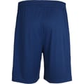 CORE POLY SHORTS