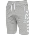 hmlRAY 2.0 SHORTS