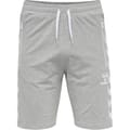 hmlRAY 2.0 SHORTS