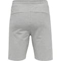 hmlRAY 2.0 SHORTS
