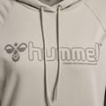 hmlNONI 2.0 HOODIE