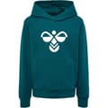 hmlCUATRO HOODIE