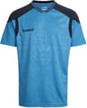 HUMMEL SIRIUS SS JERSEY