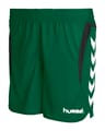 TEAM PLAYER WOMEN'S POLY SHORTS