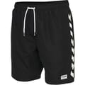 hmlRADLER BOARD SHORTS