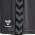 hmlAUTHENTIC PL SHORTS WOMAN