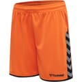 hmlAUTHENTIC POLY SHORTS