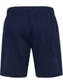 hmlTRAVEL SHORTS