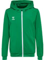 hmlAUTHENTIC PL ZIP HOODIE KIDS