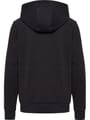 hmlPULSE CO REGULAR W SWEAT HOODIE
