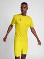 hmlAUTHENTIC PL JERSEY S/S